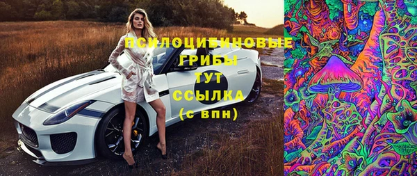 ECSTASY Абаза